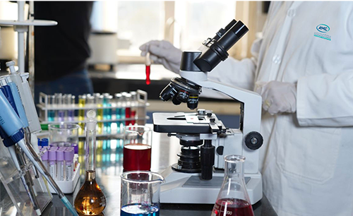 Laboratory Department